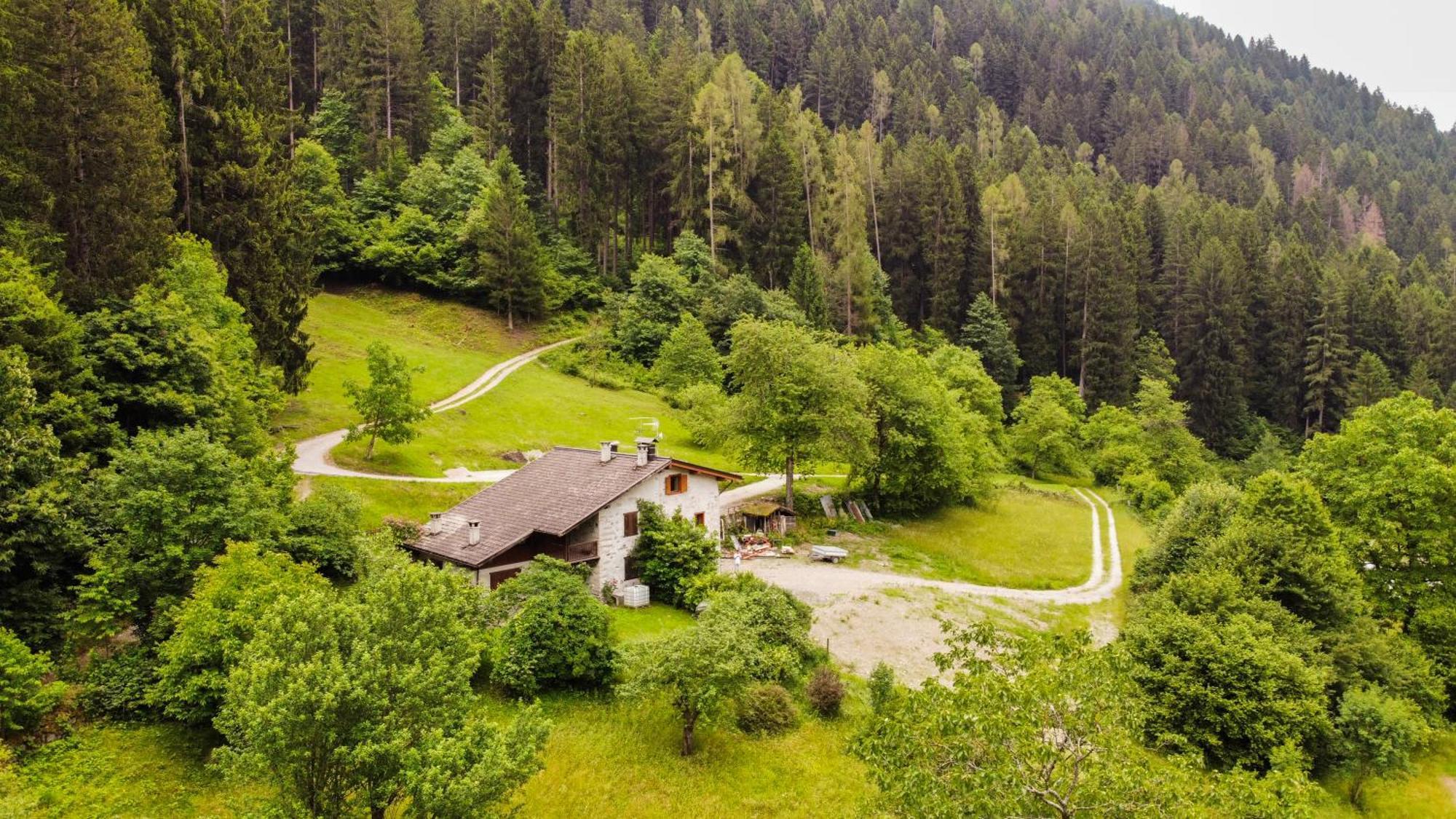 Luxury Chalet Dolomiti-Campiglio-Trentino Porte di Rendena Экстерьер фото