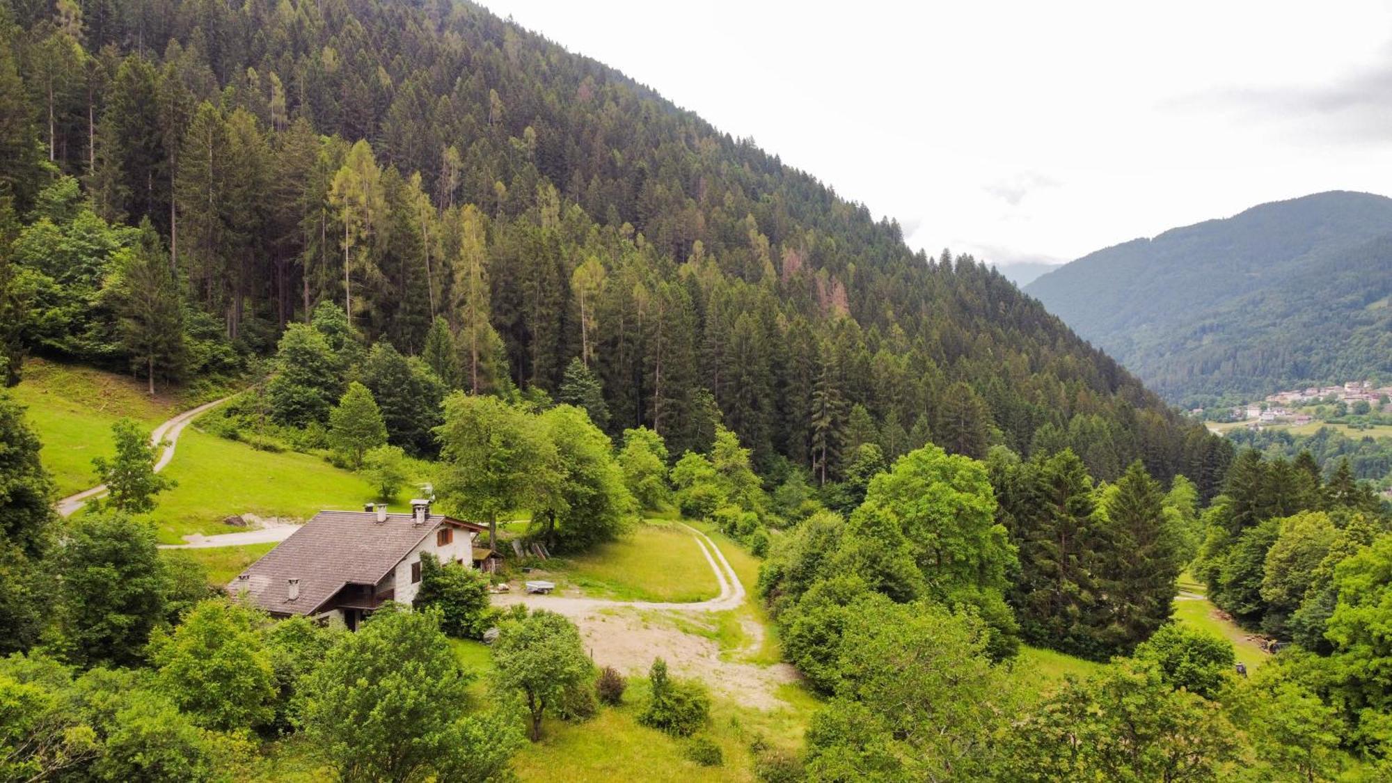 Luxury Chalet Dolomiti-Campiglio-Trentino Porte di Rendena Экстерьер фото